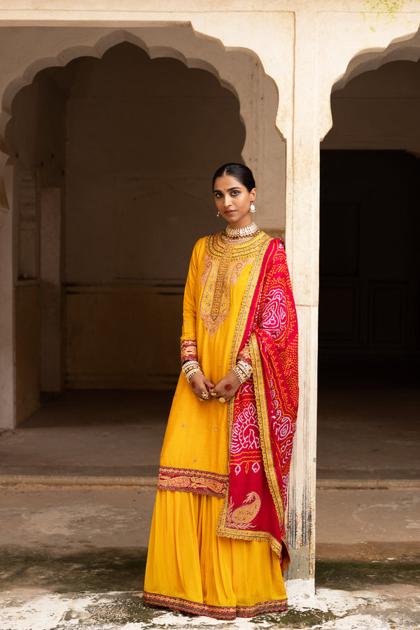 Haldi Bliss Sharara Set