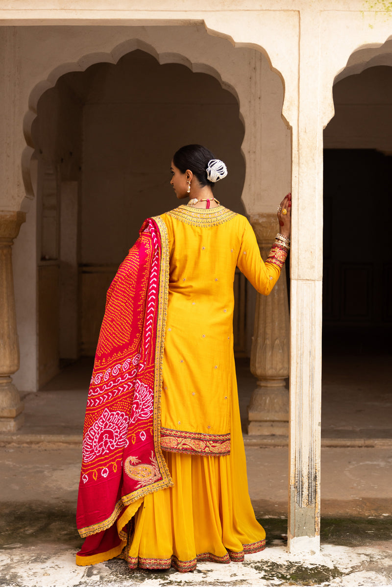 Haldi Bliss Sharara Set