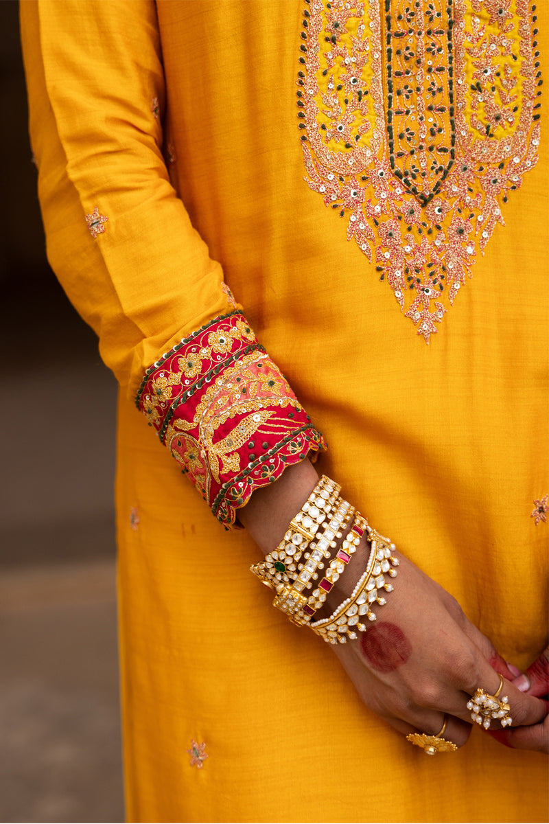 Haldi Bliss Sharara Set