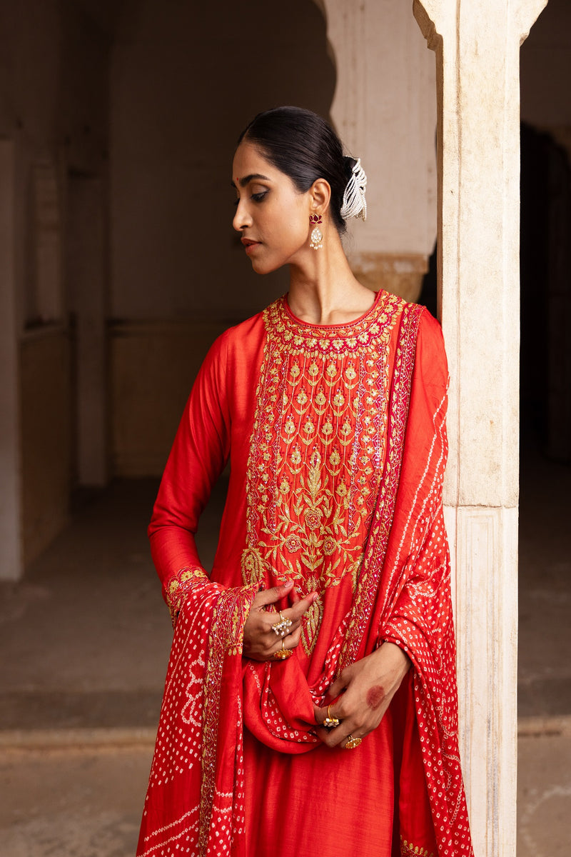 Classical Luxe Bridal Sharara