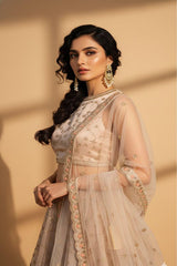 Alzahra Metallic Organza Lehenga Set