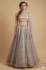 Alzahra Metallic Organza Lehenga Set
