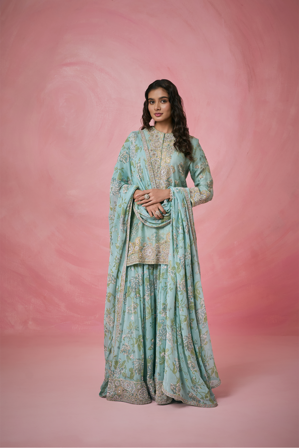 Organza Bliss Sharara Set