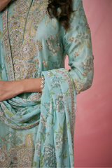 Organza Bliss Sharara Set