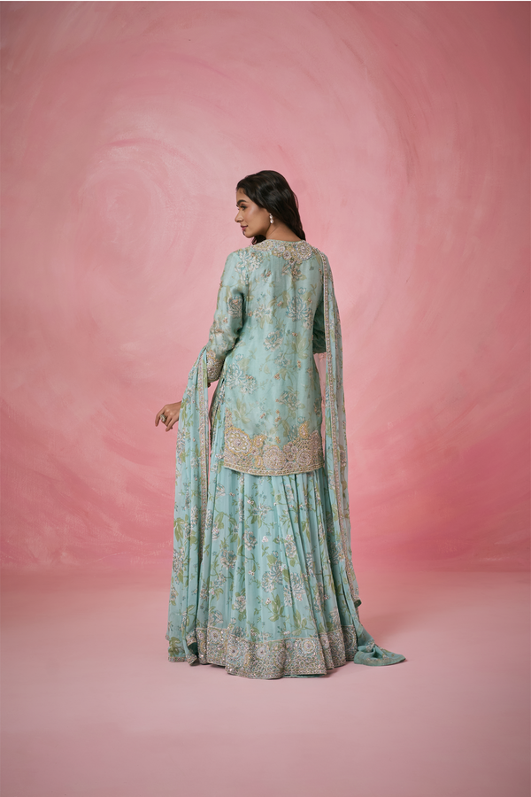 Organza Bliss Sharara Set