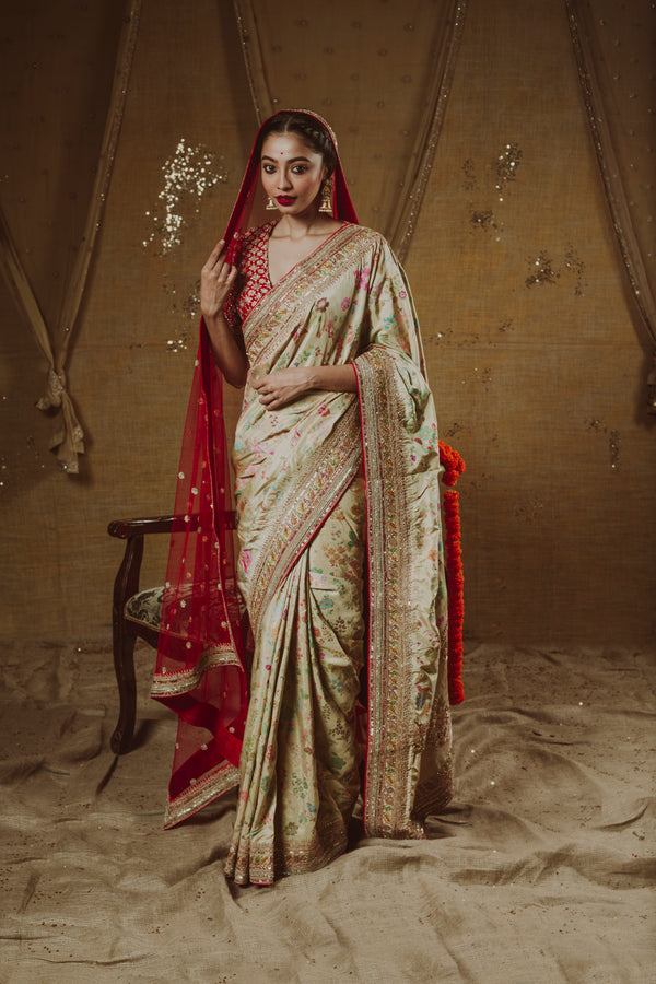 Enchanting Regal Saree