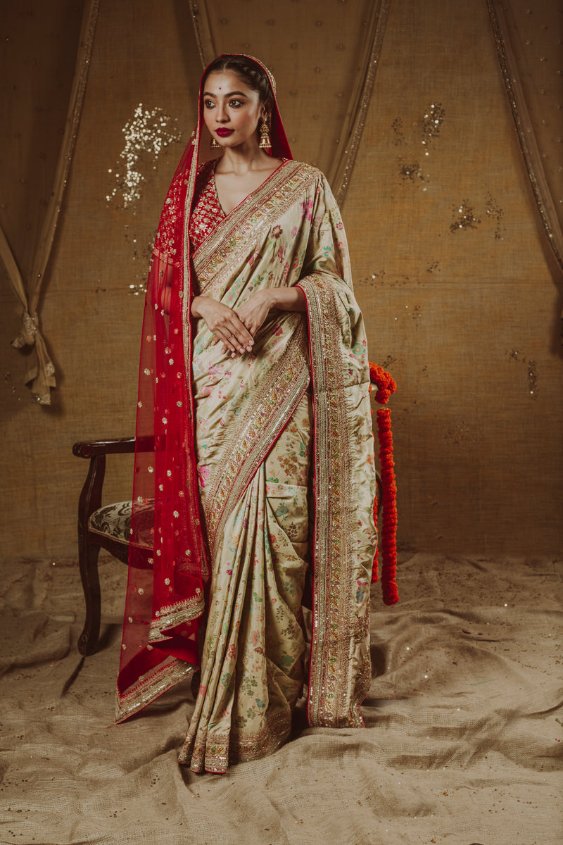 Enchanting Regal Saree