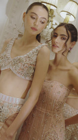Blush Étoile Embellished Gown