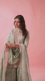 Organza Bliss Sharara Set